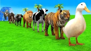 3d Animal Color Name for kids Game - Funny 3d Animals Color || Duck, Elephant,Gorilla,Buffalo,Tiger
