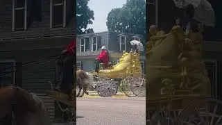 Circus World Parade 2023 = 4 pony hitch + Circus Wagon 🎠🎪#parade #pony