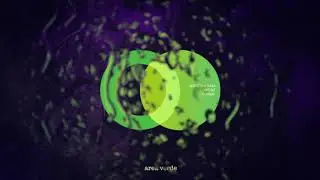 Sebastian Haas, Mrtnz - Bombay (Sebastian Haas kitchen mix) [AREA VERDE]