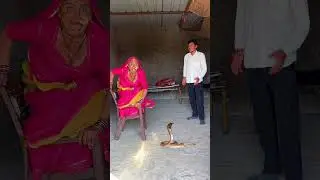 Smriti K papa ki Bhaduri Nikal Gayi😂😆 #new #comedy #shorts #trending #ytshorts #youtubeshorts