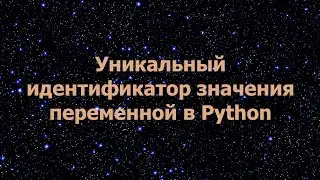 Уникальный идентификатор значения переменной в Python