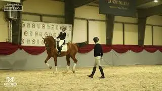 Goldfinger VDT (Jazz x Ferro)