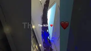 Exploring the ROM #tourism #toronto