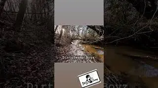 Back Country