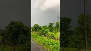 #mpforest