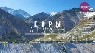 Фильм 