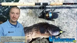 October 12, 2017 New England Fishing Report with Toby Lapinski