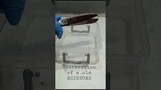 Restoration of a old scissors ✂️ #restoration #old