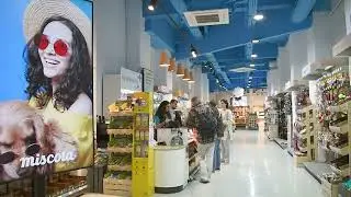 Franquicia Miscota - Abre tu propia tienda para mascotas