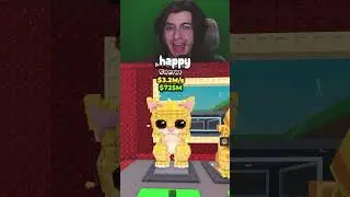 Жизнь в роли A ME GATITO MEOW MEOW в игре Steal a Brainrot #roblox #stealabrainrot