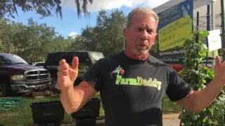 FarmDaddy at Rootstock Plant & Garden Festival at Bok Tower Garden 2016