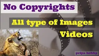 how to download copyrights free images and videos | without copyrights vector images