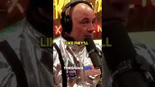 Why Foxes are the Most Loving and Friendly Animals - Joe Rogan