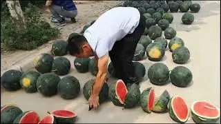 Farm Fresh Ninja Fruit Tik Tok China EP 251