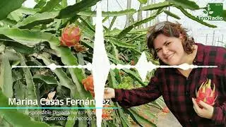 ENTREVISTA - Marina Casas, coordinadora de producción y desarrollo de Anecoop S. coop. en Almería