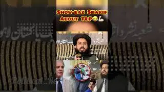 PM Shehbaz Sharif About TLP😂| TLP vs PMLN #shorts #whatsappstatus