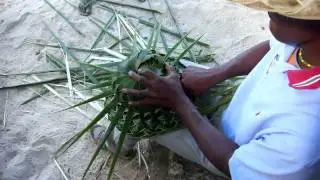 How to make a Palm Hat Slow Motion