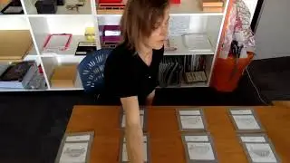 Montessori 3-6, Classified Cards, advanced