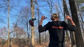 Making a 30ft Tall Swing!! | Bald Eagle Swing