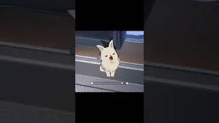 cute peppy yawning and barking honkai star rail