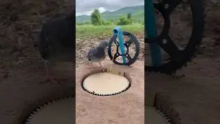 Technique Easy Creative Pigeon Trap #shorts