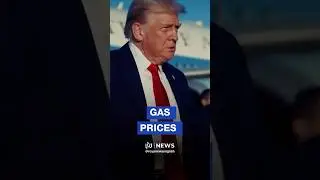 &ldquo;Gasolina&rdquo;: White House celebrates gas price drop with Trump edit