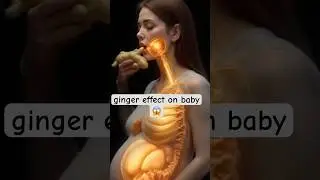 when pregnet women eat ginger #anatomy #ginger #pregnancy #viral #trending