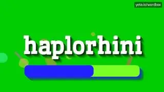 HAPLORHINI - HOW TO PRONOUNCE IT!?