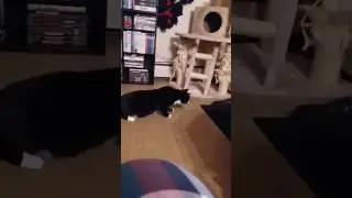 Manson Found Slippers