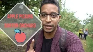 Apple Picking - Barton Orchard