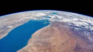 Nature For Climate - Official Short Film | Arbor Vitae