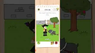 Brain Test All Star IQ Boost Level 308