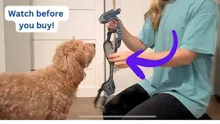 Review: Dog harness on Amazon