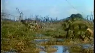 Marines in Vietnam 1968 5/5