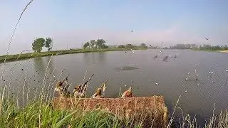 Decoying Teal on the BIG Missouri River