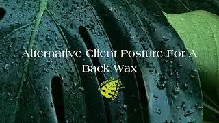 Alternative Posture For A Back Wax #hairremoval #waxingtips #waxingtutorial #beautytips #waxing