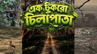  Sundari Dooars: Ek Tukro Chilapata (CHILAPATA JUNGLE SAFARI)