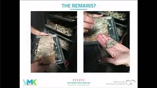 VMX2018 The Newest Option In Aftercare Water Based Cremation