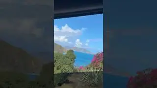 Tortola, BVI 🏝️