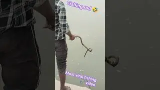 look fishing rod  🎣 || fish killer 🐠 village boys hunting #shortsvideo
