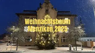 Weihnachtsbaum Menziken AG   2025