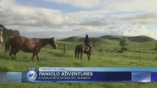 Hawaii Island Week: Paniolo Adventures