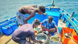 கடல் மேல் விதவிதமா சமையல் சும்மா வேற லெவெல் டெஸ்ட்