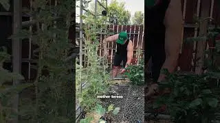 I Go FULL John Cena When I See These Pests In My Garden