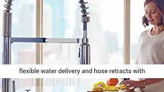 Moen 5923SRS Align One Handle Pre Rinse Spring Pulldown Kitchen Faucet