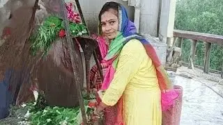 Har har Mahadev 🙏🚩#bholenath #livestreaming #livestream #youtubelive #live