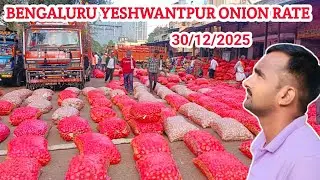 Bengaluru Yashwantpur Onion Market Rate | Aaj Ka Pyaj Bhav || आज प्याज भाव बढ़ा है क्या 🤔 || #onion