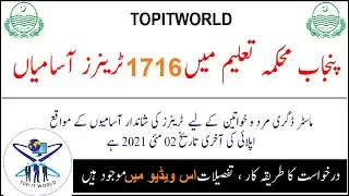 1716 Master Trainer Jobs for Teachers In Punjab 2021| Apply Online for Master Trainers Punjab