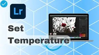 How To Set Temperature In Lightroom?