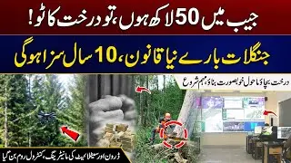 5 Million In Pocket, Then Cut Down a Tree | New Law On Forests, 10 Years In Prison | City21